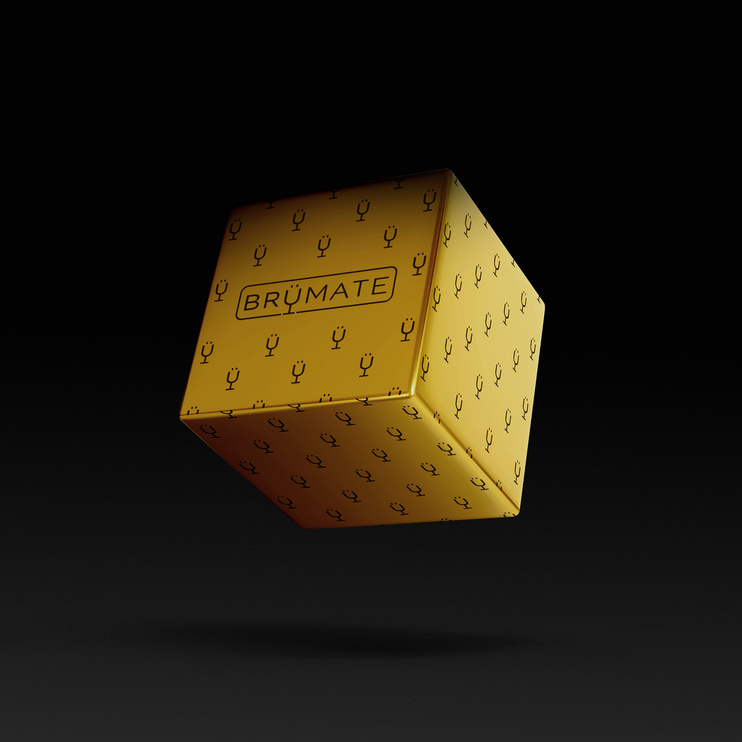 premium-mystery-item-39-70-value-g0 IMG-1548.png